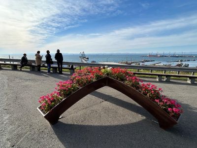 День пожилого человека